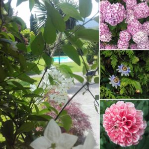 Jardín de Barretaguren flores